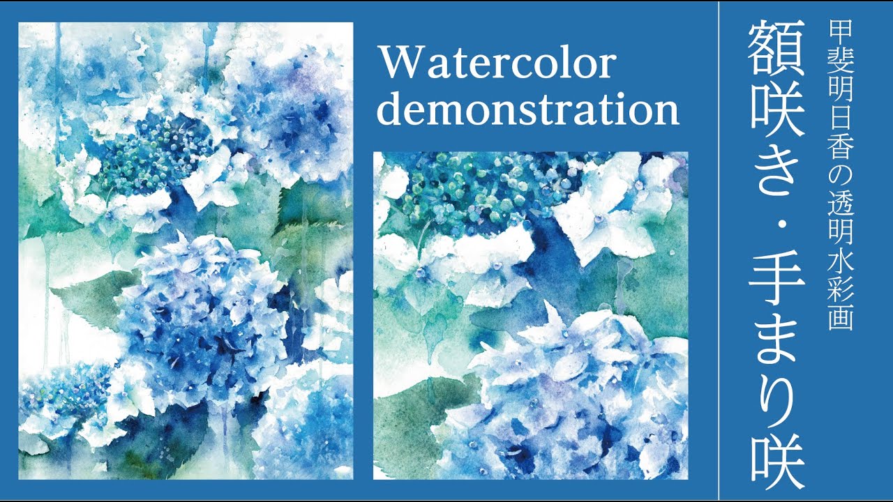 透明水彩] 紫陽花 額咲きと手まり咲きのあじさい Hydrangea watercolor