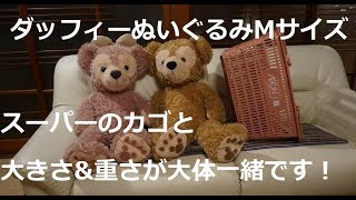 Duffy medium-sized stuffed animal - roughly the same size and