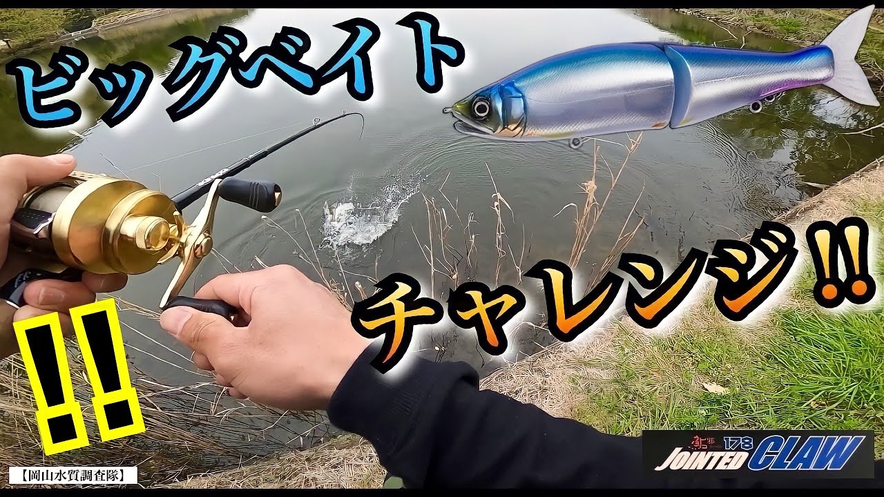ジョイクロ178】ビッグベイト縛りで釣りしたら驚愕だった！喰う瞬間