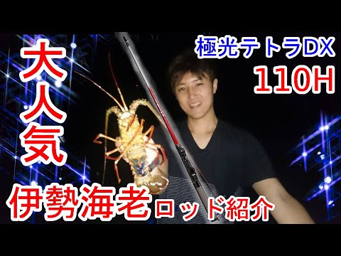 Unboxing] Introducing the popular spiny lobster rod, Aurora Tetra