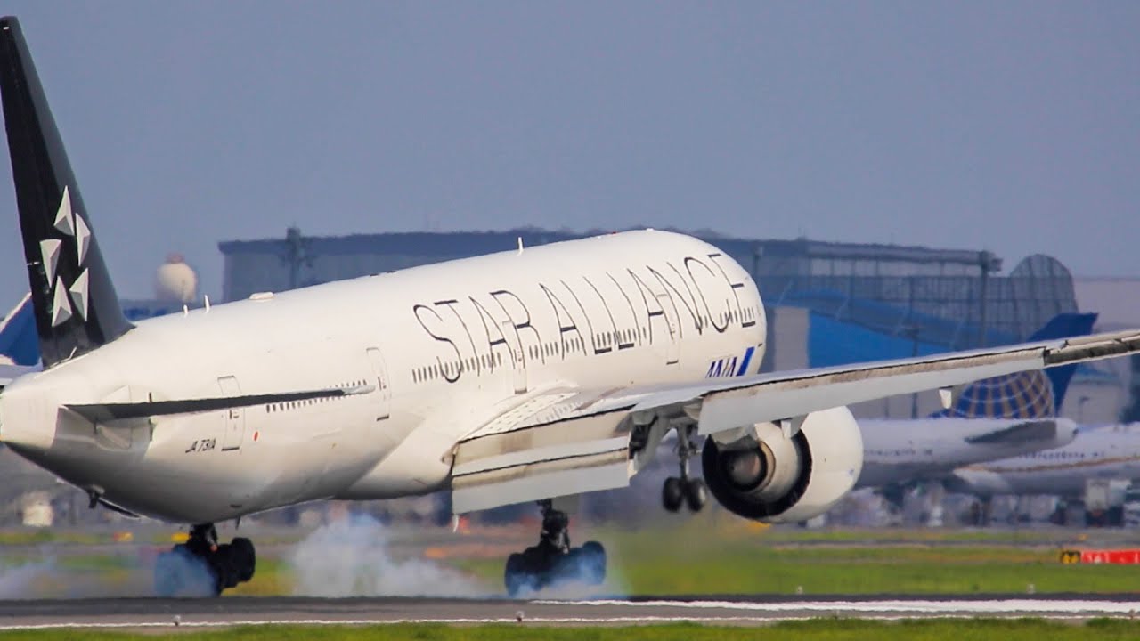 成田空港 ANA B777-300ERスターアライアンス特別塗装機 着陸 [JA731A