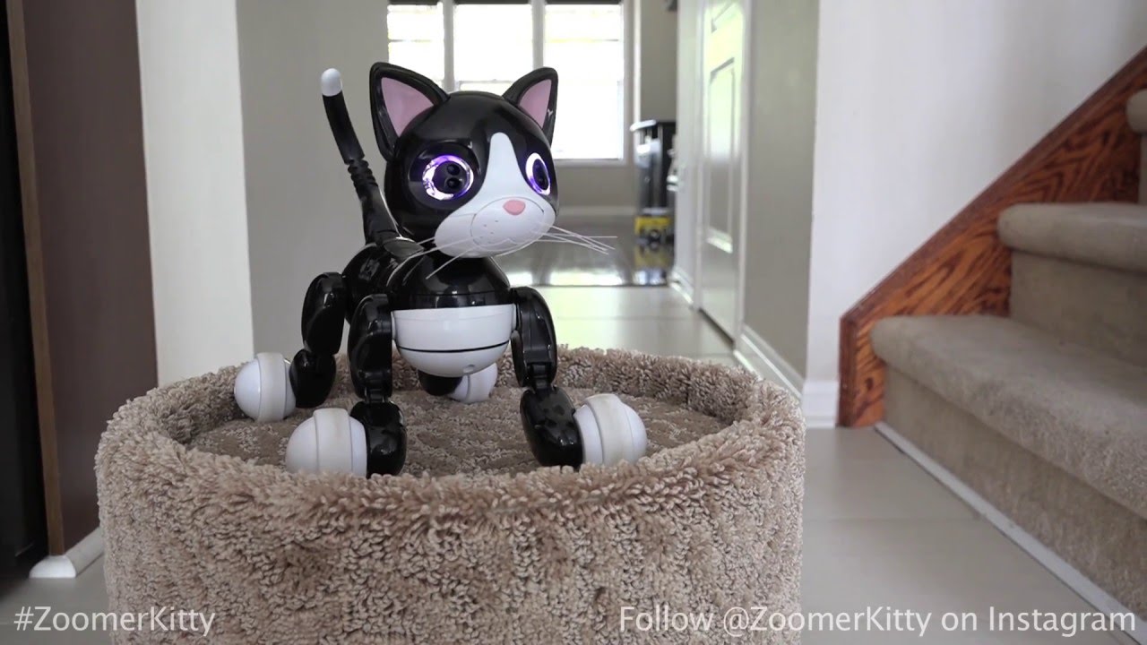 Omnibot Hello! Woonyan（ハロー! ウ～ニャン） 商品紹介2 - YouTube