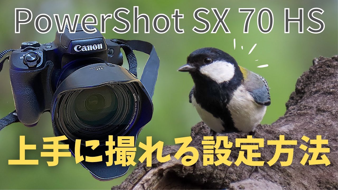 How to take beautiful photos of wild birds with the PowerShot SX