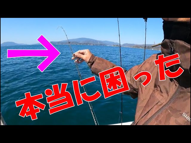 スパイラルガイドインプレ】困る前に！スパイラルガイド注意点と確認