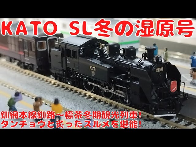 I bought the KATO [Special Item 10-1958] C11-171 + 14 Series 500