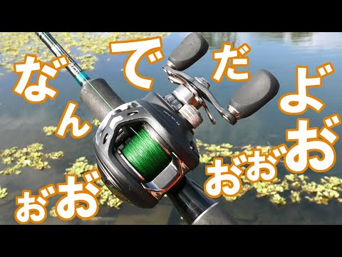 インプレ】エランはバス釣りにも海釣りにも使える頑丈なベイトリール