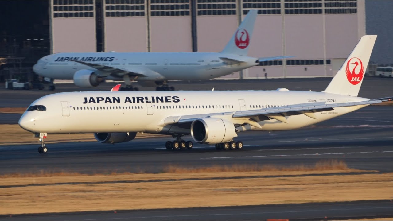 Airbus A350-1000 JAL (JA01WJ) (JA02WJ) 特別塗装機 初号機 2号機