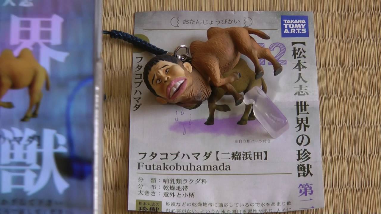 松本人志 「世界の珍獣」 第2弾 AR鳴き声付き - YouTube