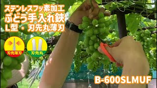 B-600SLMUF/ぶどう手入れ鋏（刃先薄刃）【CHIKAMASA】 - YouTube
