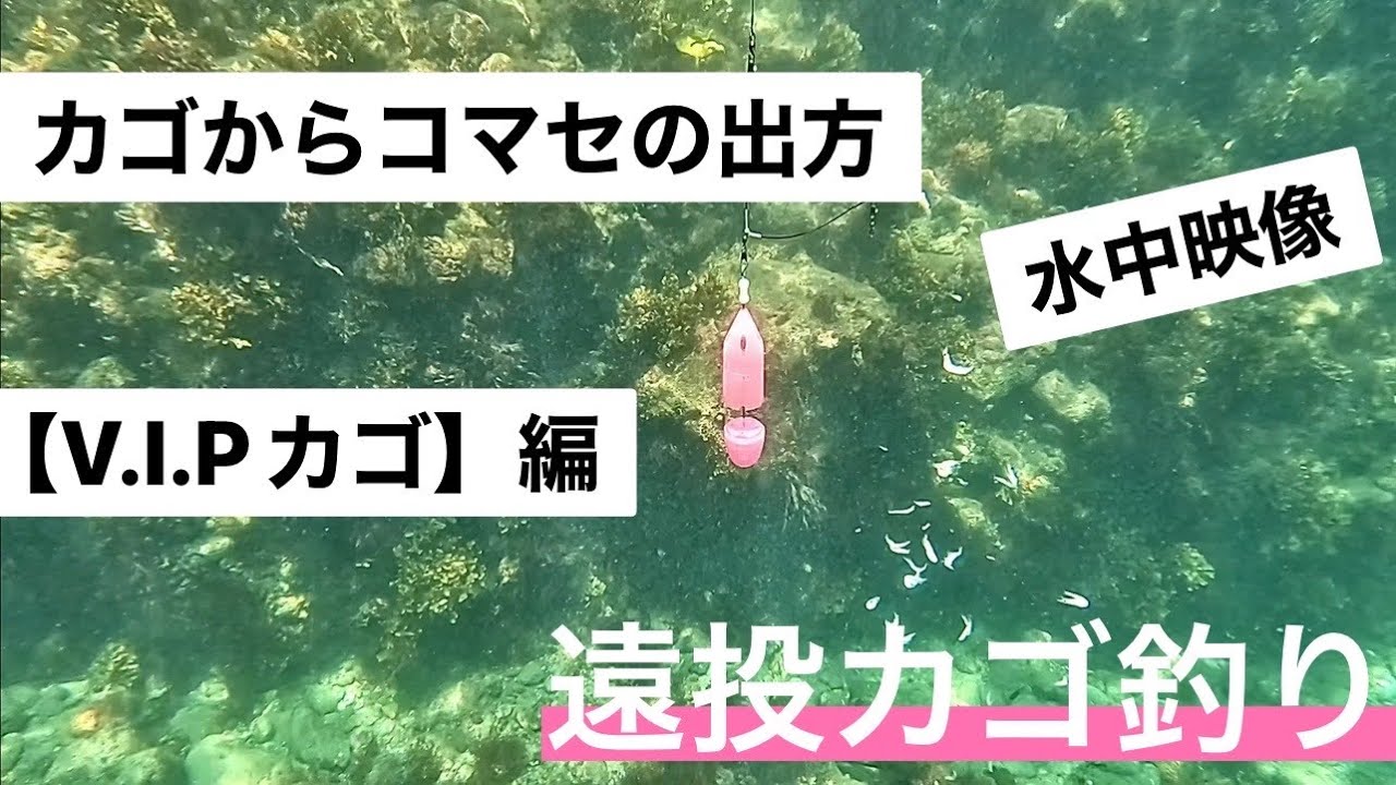 Long-distance basket fishing] Underwater video showing how the