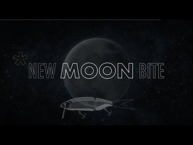 DRT New Moon Bite // Tiny Klash - YouTube