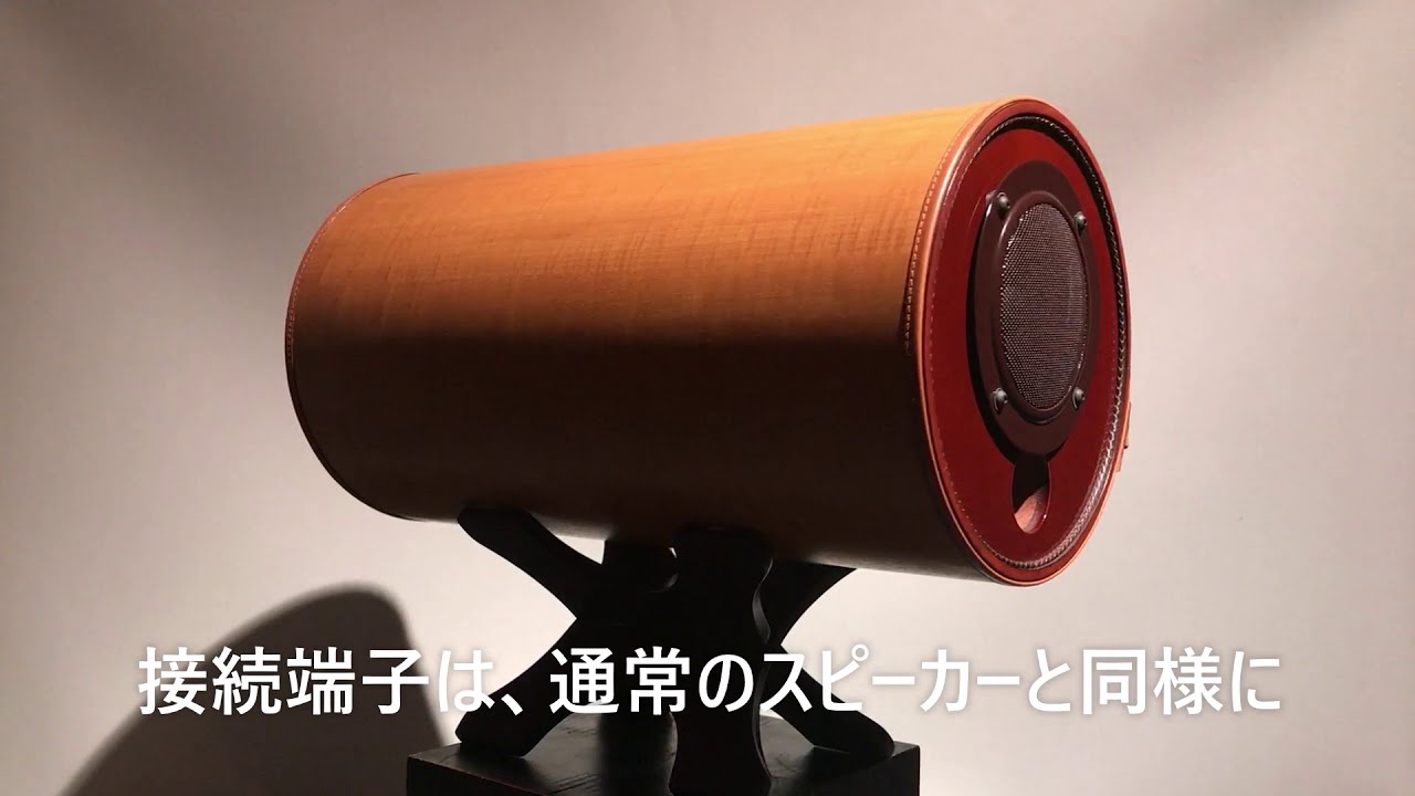 Ms System エムズシステム 波動スピーカー MS1001シリーズ - Just MyShop