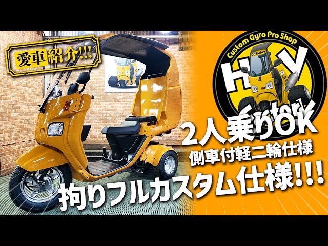 A two-seater with a sidecar! 