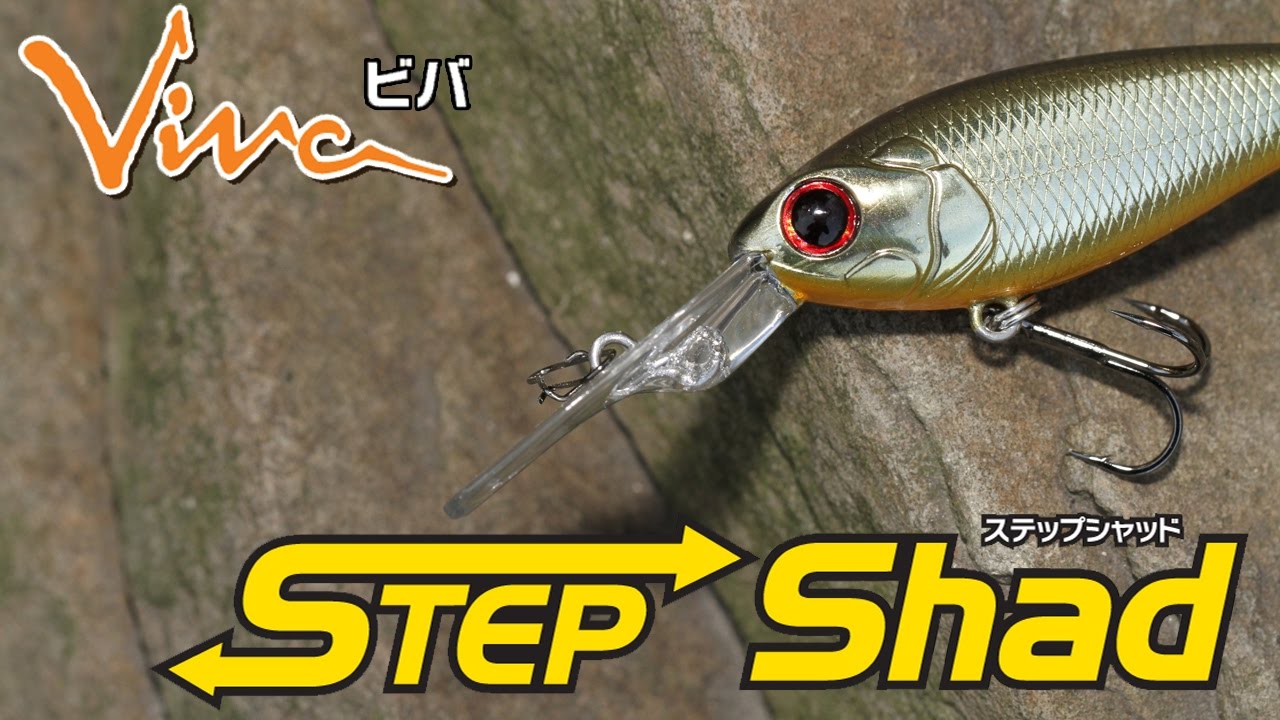Step Shad | Vivanet