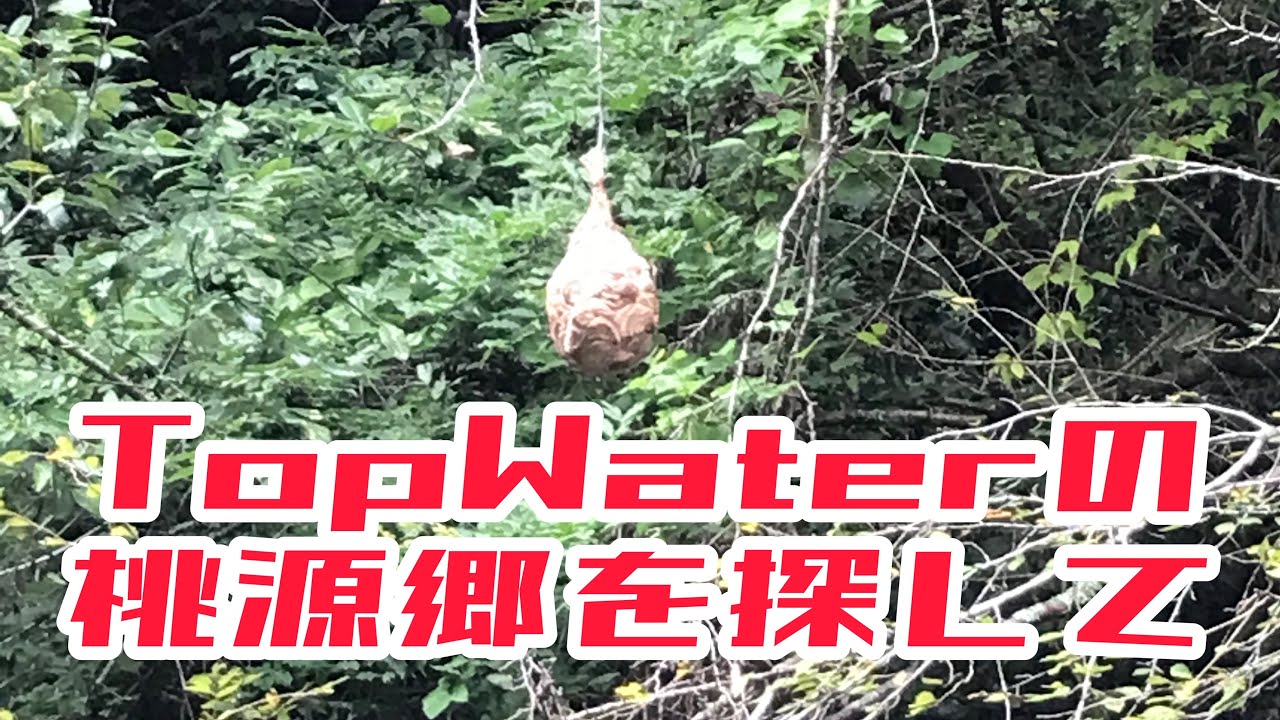 プルトニウムシロップ セルディビジョンM【水面奇術】#245 #スイキ