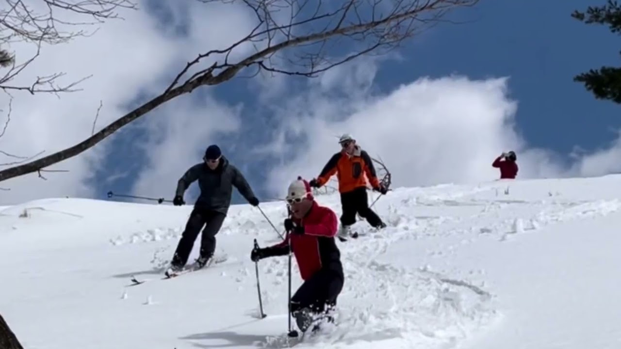 maxresdefault.jpg?sqp=-