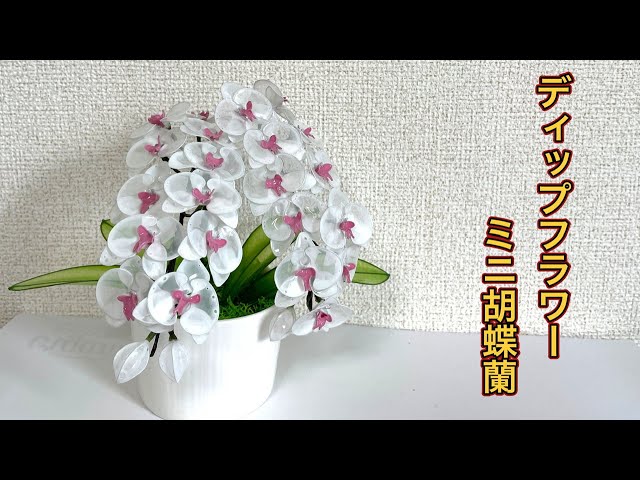 718 ディップフラワー ミニ胡蝶蘭を作ってみました。#ディップアート