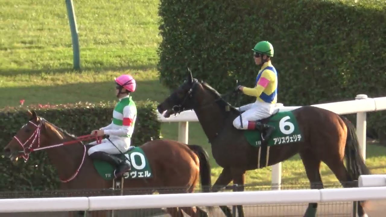 アルテミスステークス2022】全頭パドック～本馬場入場～ウィニングラン