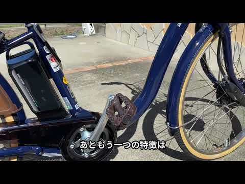 Introducing the Bridgestone Cycle Frontier DX electric bicycle at