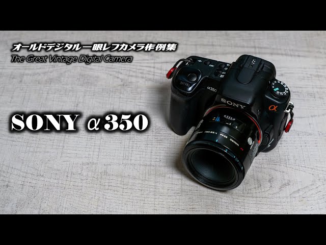 オールドデジタル一眼レフカメラ作例集 The Great Vintage Digital
