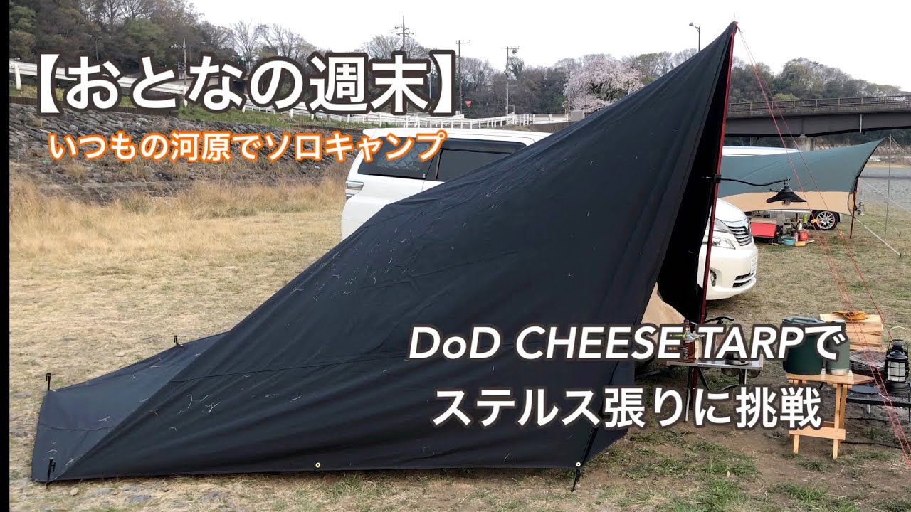 サラリーマンの週末】いつもの河原でソロキャンプ～漸くあの方に会えた