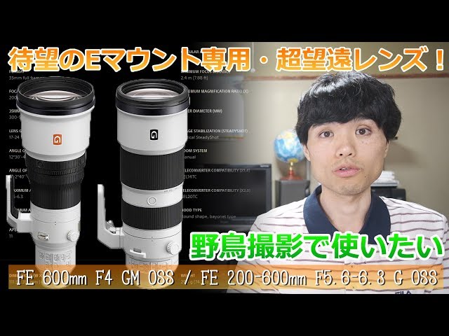 SONYからEマウント用望遠レンズが登場！超高性能&バランス重視 - YouTube