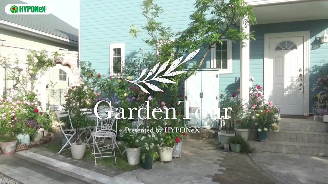 🕊Garden Tour🕊70 つるバラ10本と5本の木を植えた南側の庭や、バラを