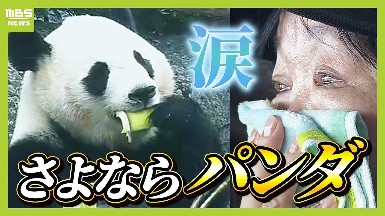 ファンは涙】パンダ「良浜」「結浜」「彩浜」「楓浜」お別れセレモニー