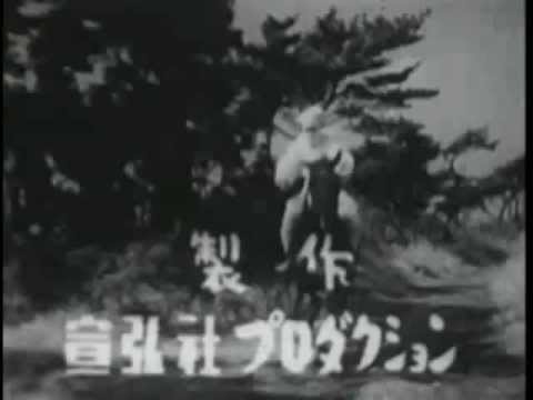 豹の眼（ジャガー）オープニング - YouTube