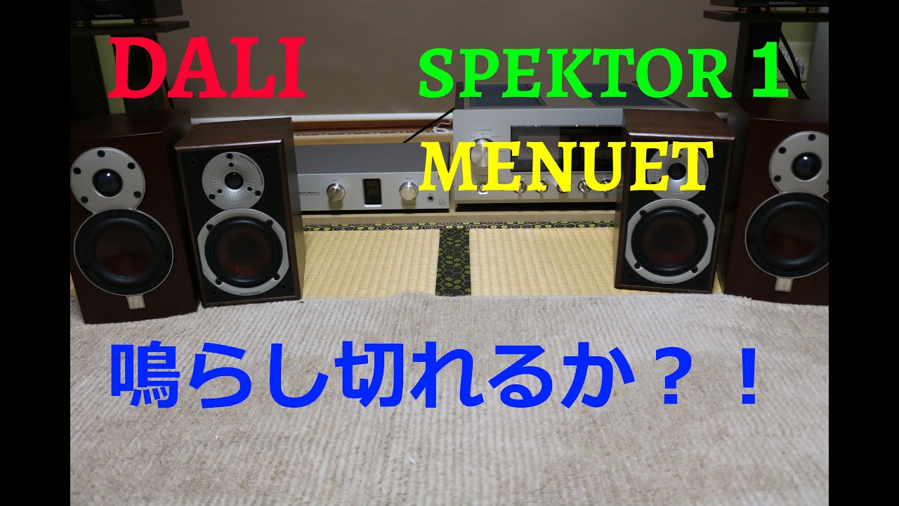 DALIファン必見！ SPEKTOR1 MENUET 鳴らし切り挑戦【空気録音】 - YouTube