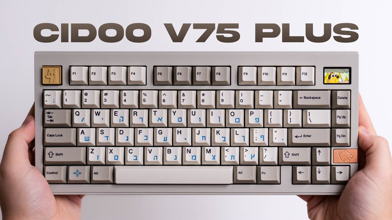 CIDOO V75 Plus Build & Sound Test - A Thocky Keyboard - YouTube