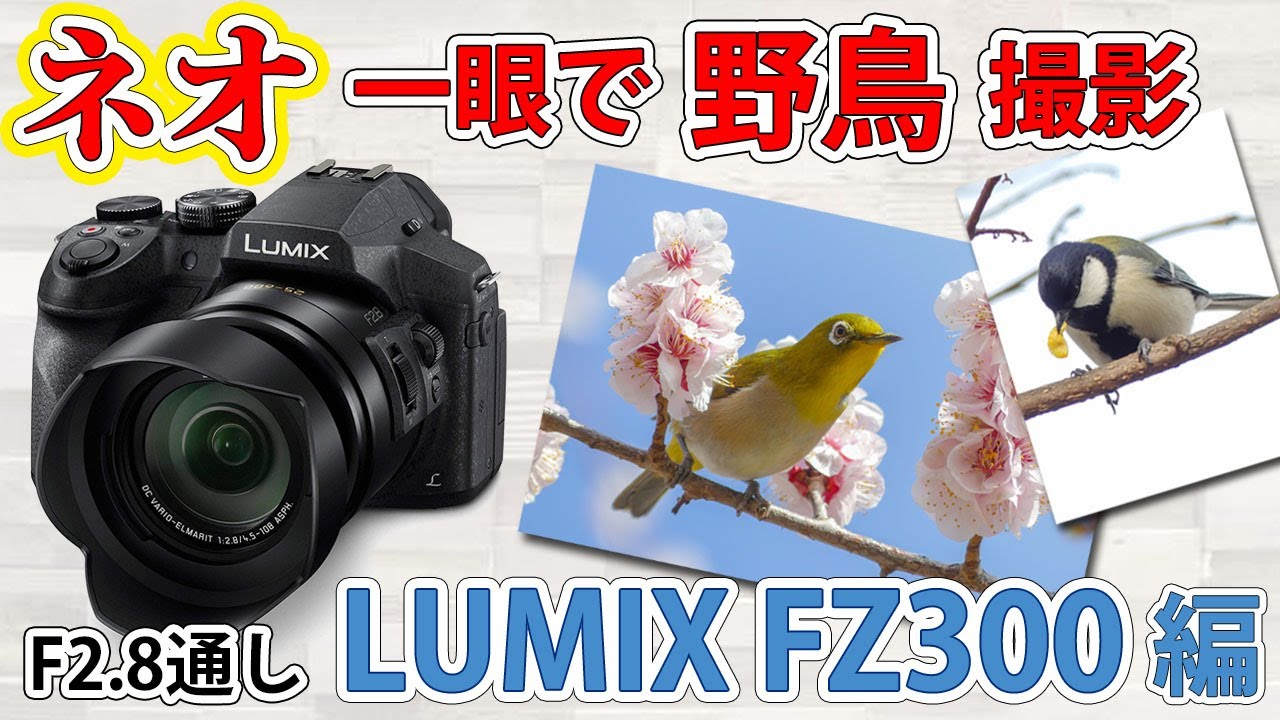 ネオ一眼 ] 全域F2.8通し、光学24倍！LUMIX FZ300 を機材整理のために