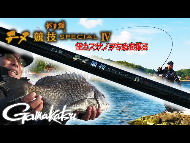 がま磯 チヌ競技スペシャルⅣ - YouTube