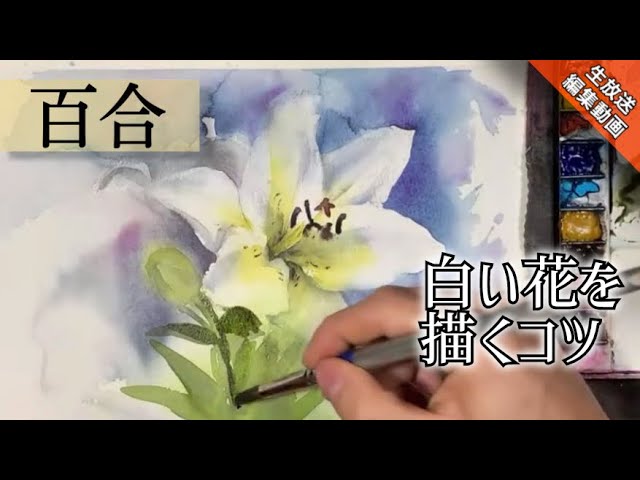 LIVE editing video] Transparent watercolor painting How to draw