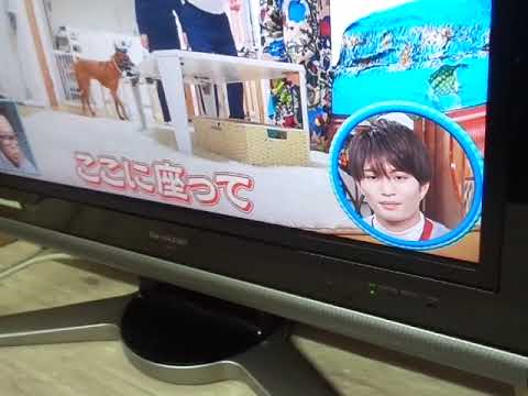 液晶テレビ AQUOS LC-26D10 [26インチ] 26 V型(インチ) 日本製 2007年