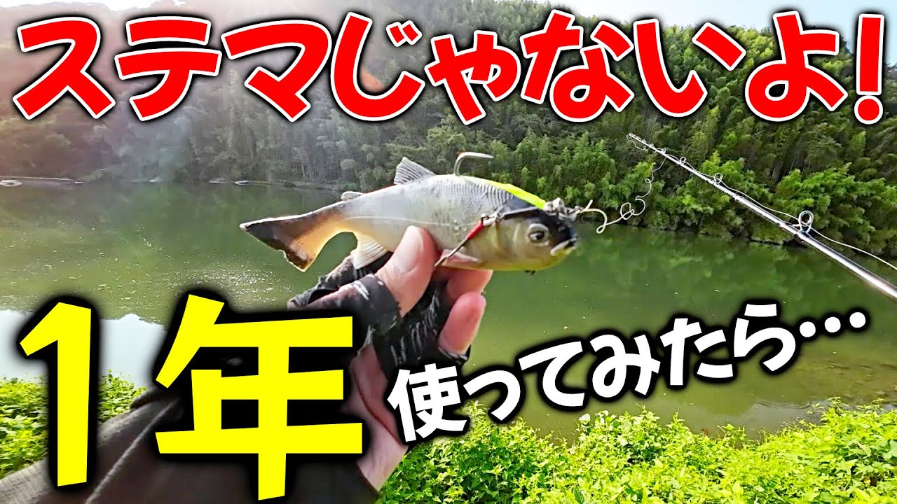 I used the Lazy Swimmer 6-inch for a year and it turned out just