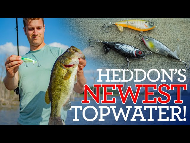 New Heddon Spin'N Image a Topwater Bass Lure With a Twist! - YouTube