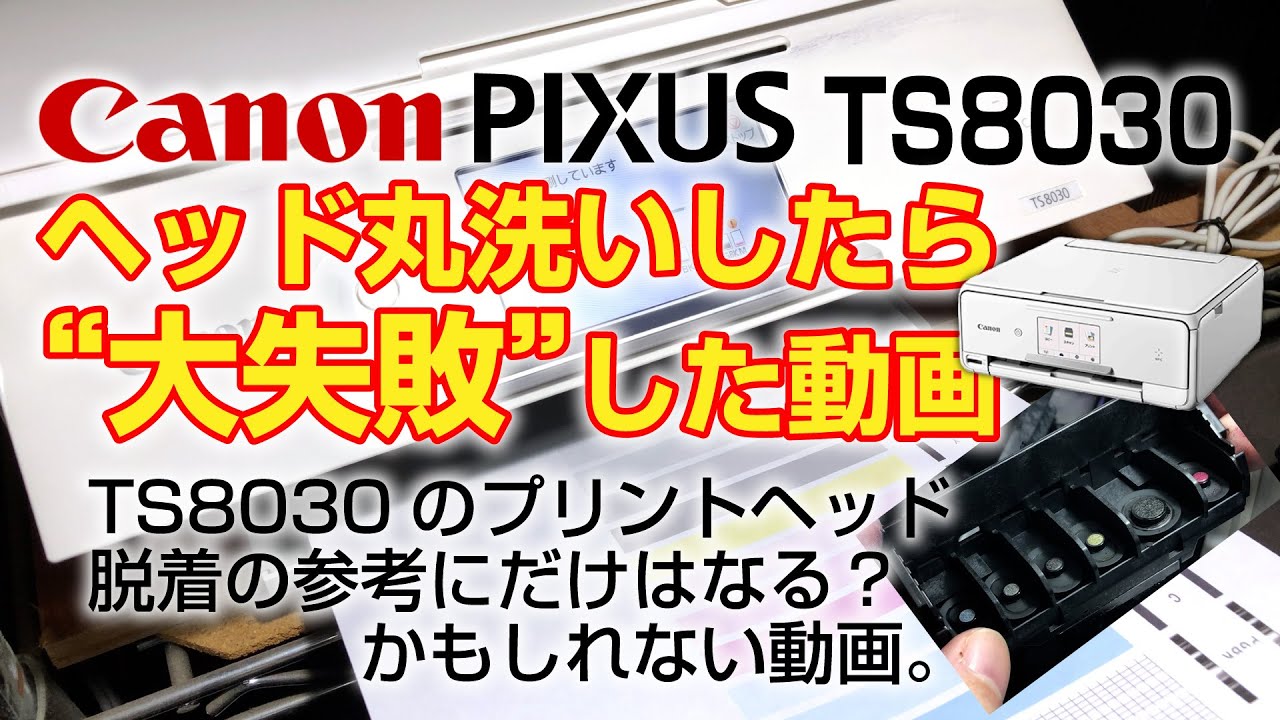 キャノン ピクサス TS8030】プリントヘッド丸洗いしたら大失敗した動画