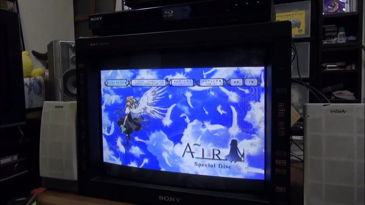 画質 SONY Trinitron CRT PROFEELPRO KX-21HV1 S トリニトロン