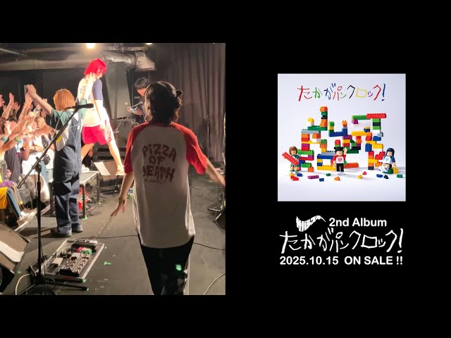 サバシスターたかがパンクロック！【完全数量限定 1138（良いサバ