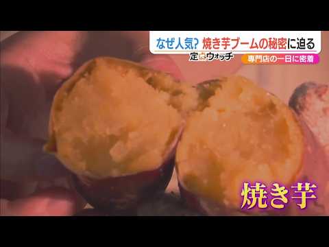 なぜ人気？新潟市の焼き芋専門店「ヤキイモスター」に密着すると