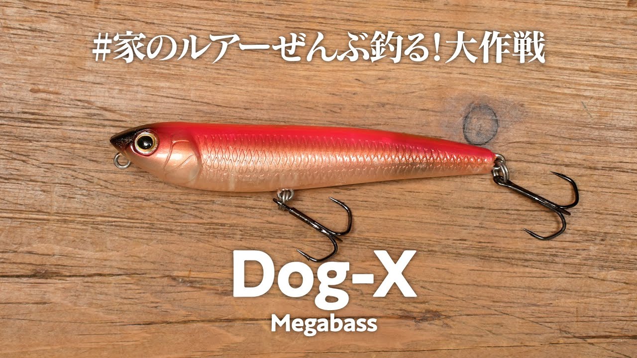 少年時代に憧れたドッグXで釣れるとめっちゃ嬉しい！【メガバスは違う