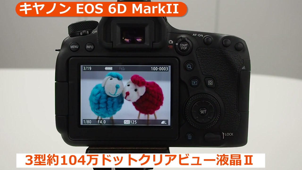 キヤノン EOS 6D MarkII ボディ | デジタル一眼レフ