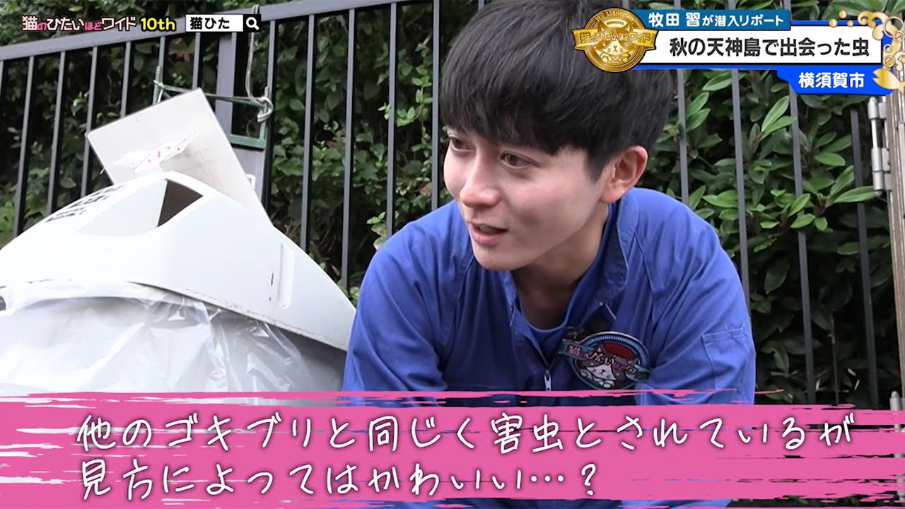 猫のひたいほどワイド #1650 リポート大賞・牧田習「自然の宝庫！秋の