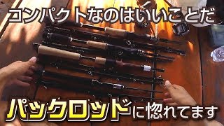 Compactness is a good thing! I'm in love with pack rods (World