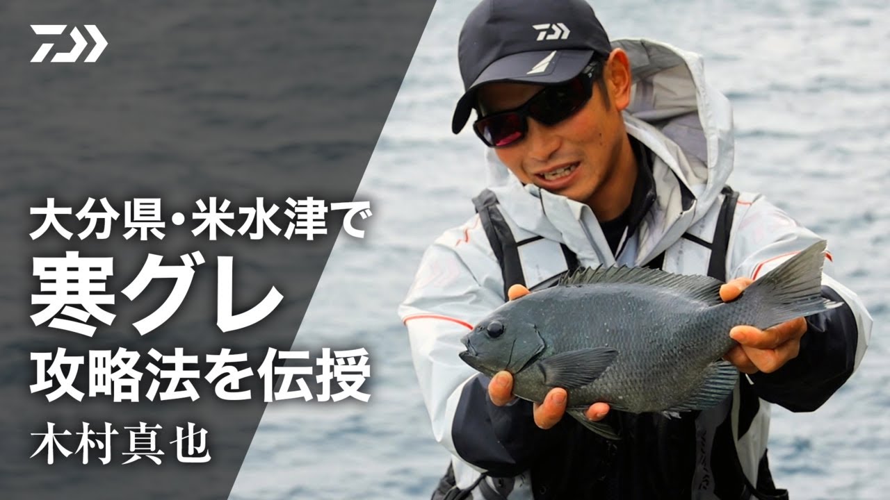 ダイワ 波濤(HATOU) 2-53・N(2-53・N): 竿｜釣具の通販なら