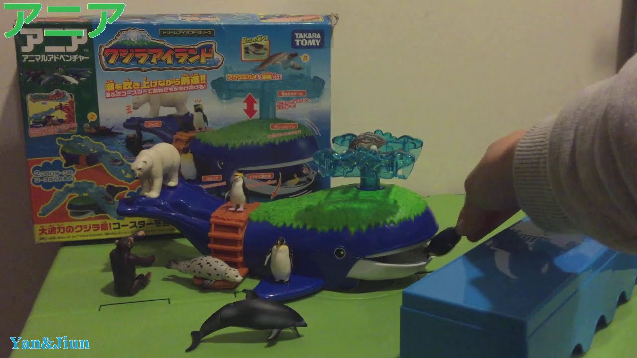 アニア クジラアイランド 動物 アニマルアドベンチャー ANIA sea