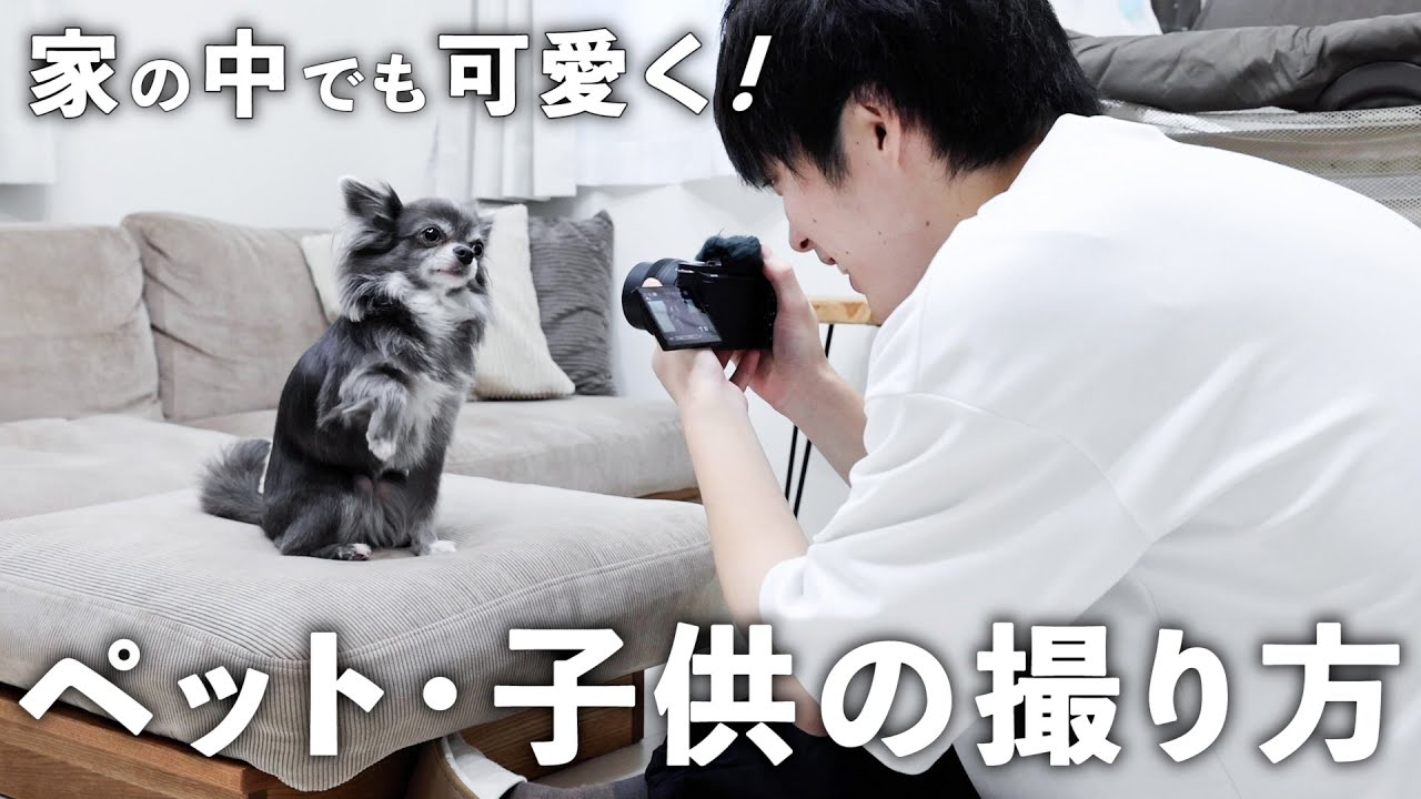 誰でも真似できるペットや子供の可愛い撮影テクニック！【VLOGCAM ZV