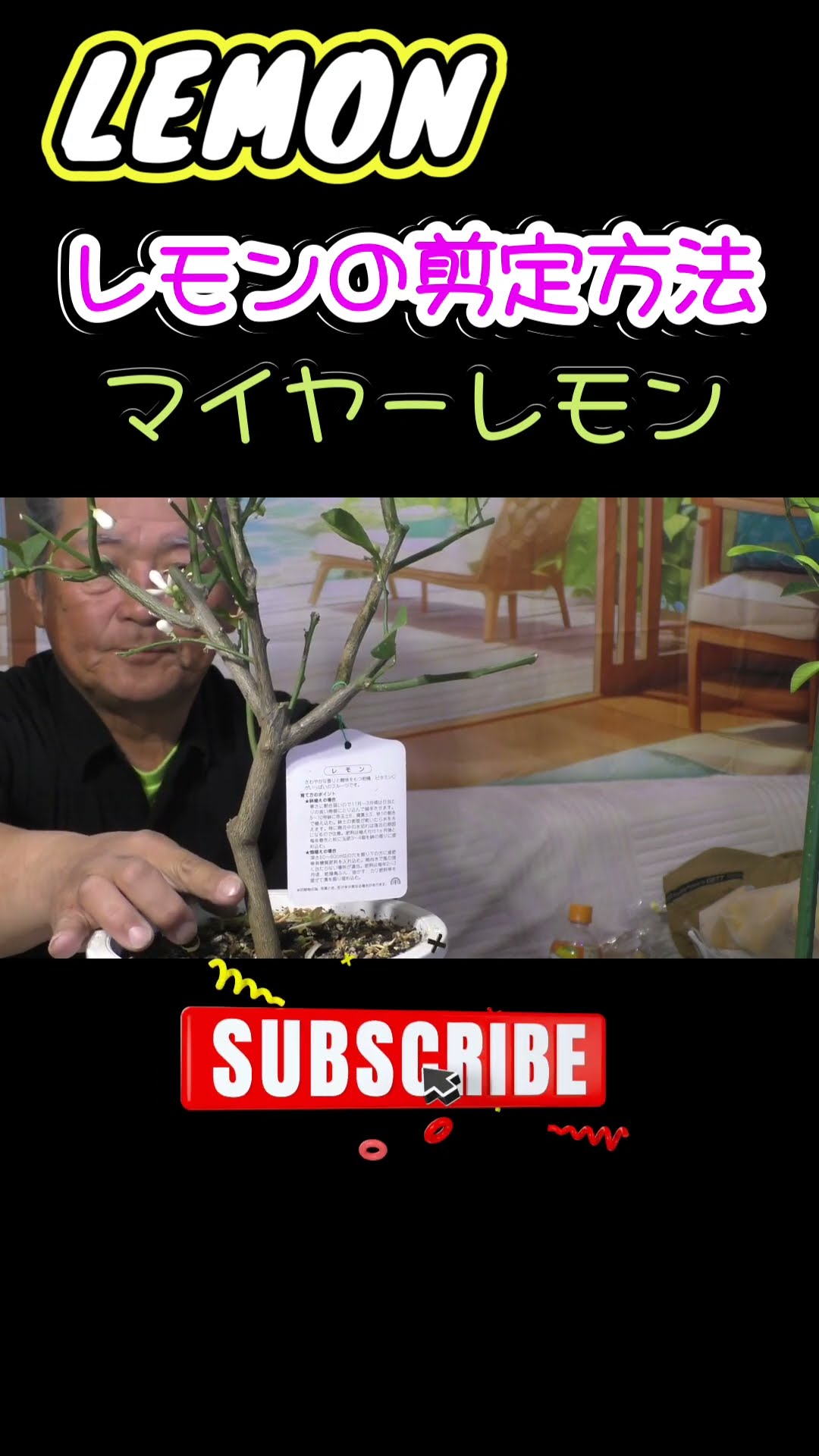 HIDE-1-ヒデさん - YouTube