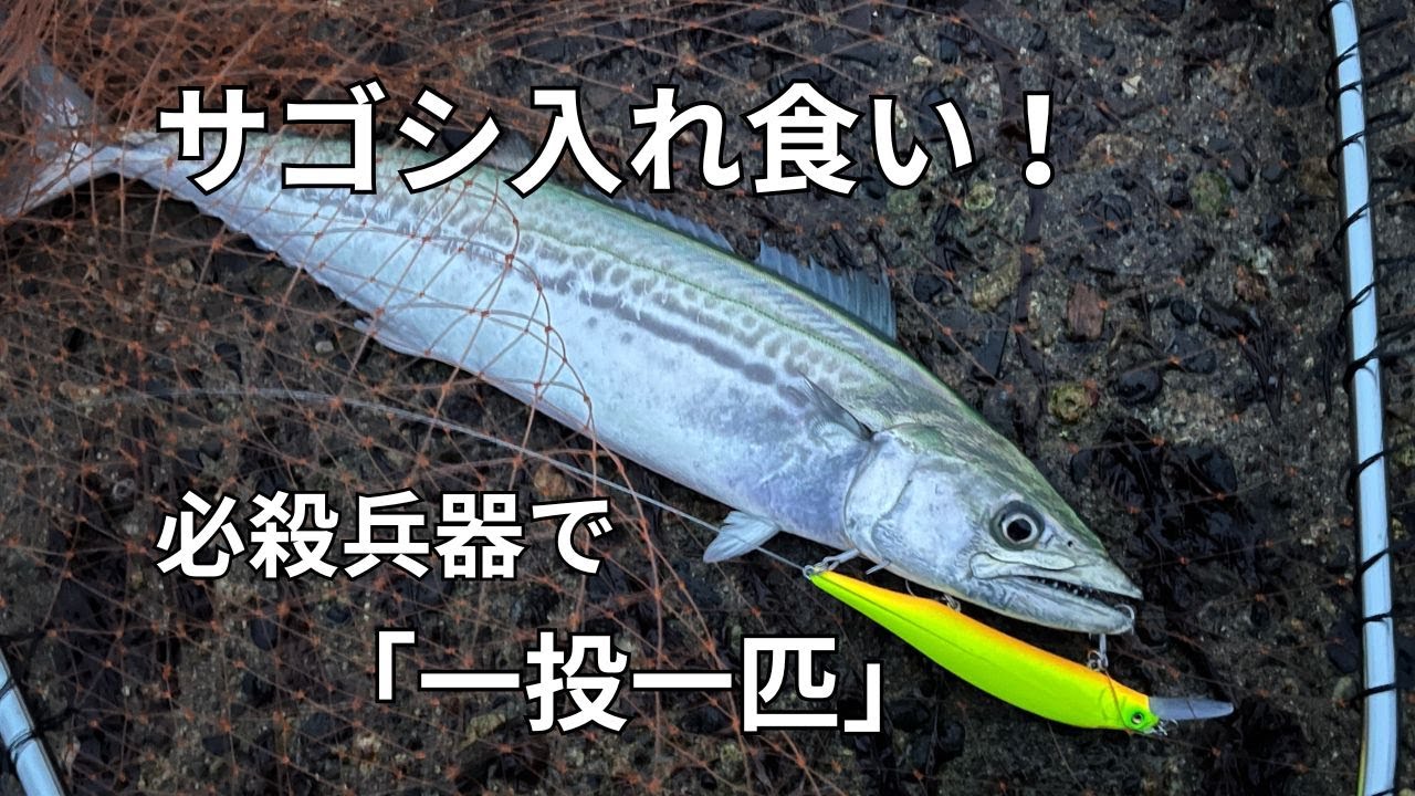 衝撃】新潟東港のポテンシャルが凄すぎる！ジャーキングで狙う、ボート
